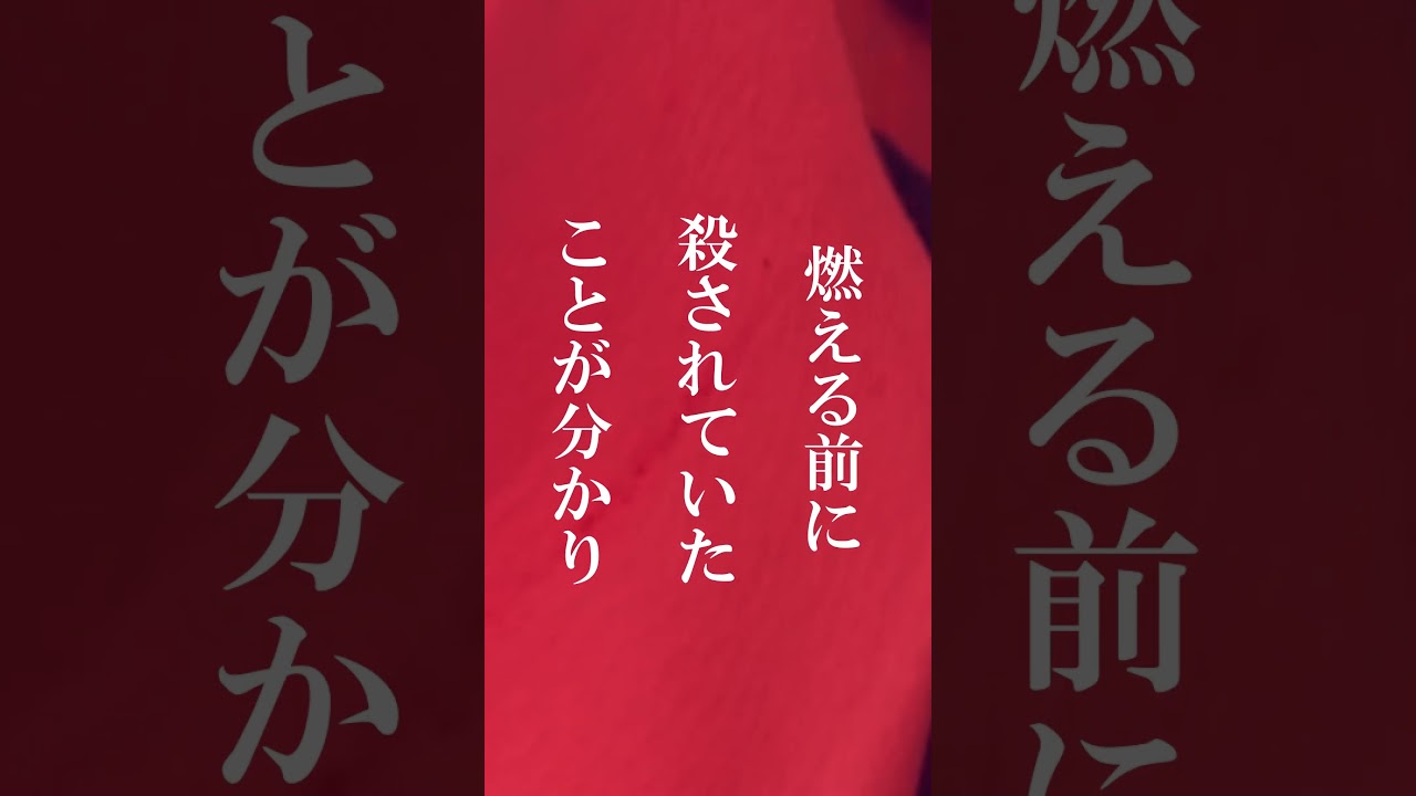 【未解決事件】この事件の犯人は誰だと思いますか？【葛生事件】 #shorts #未解決事件 #怖い話  #ミステリ