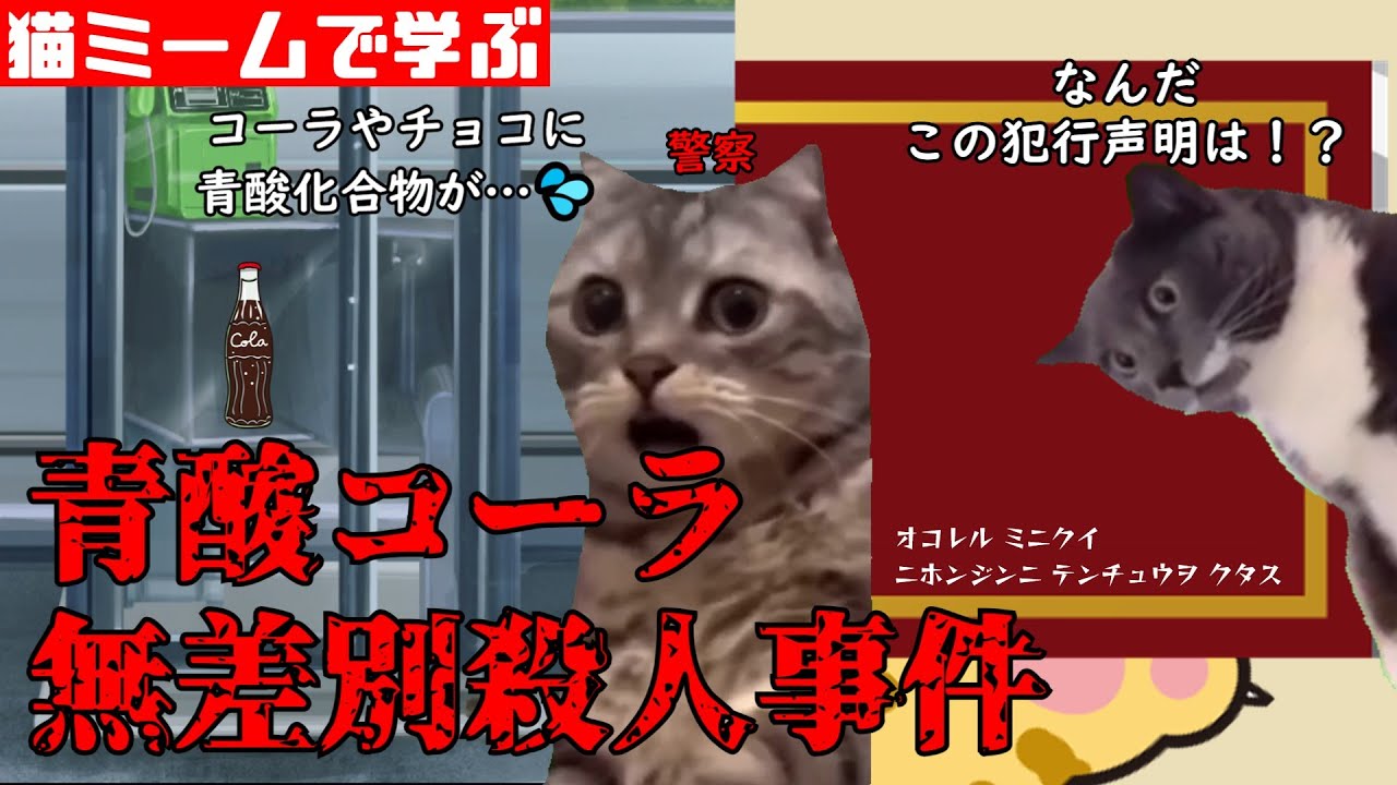 猫ミームで学ぶ青酸コーラ無差別殺人事件 #猫マニ #猫ミーム