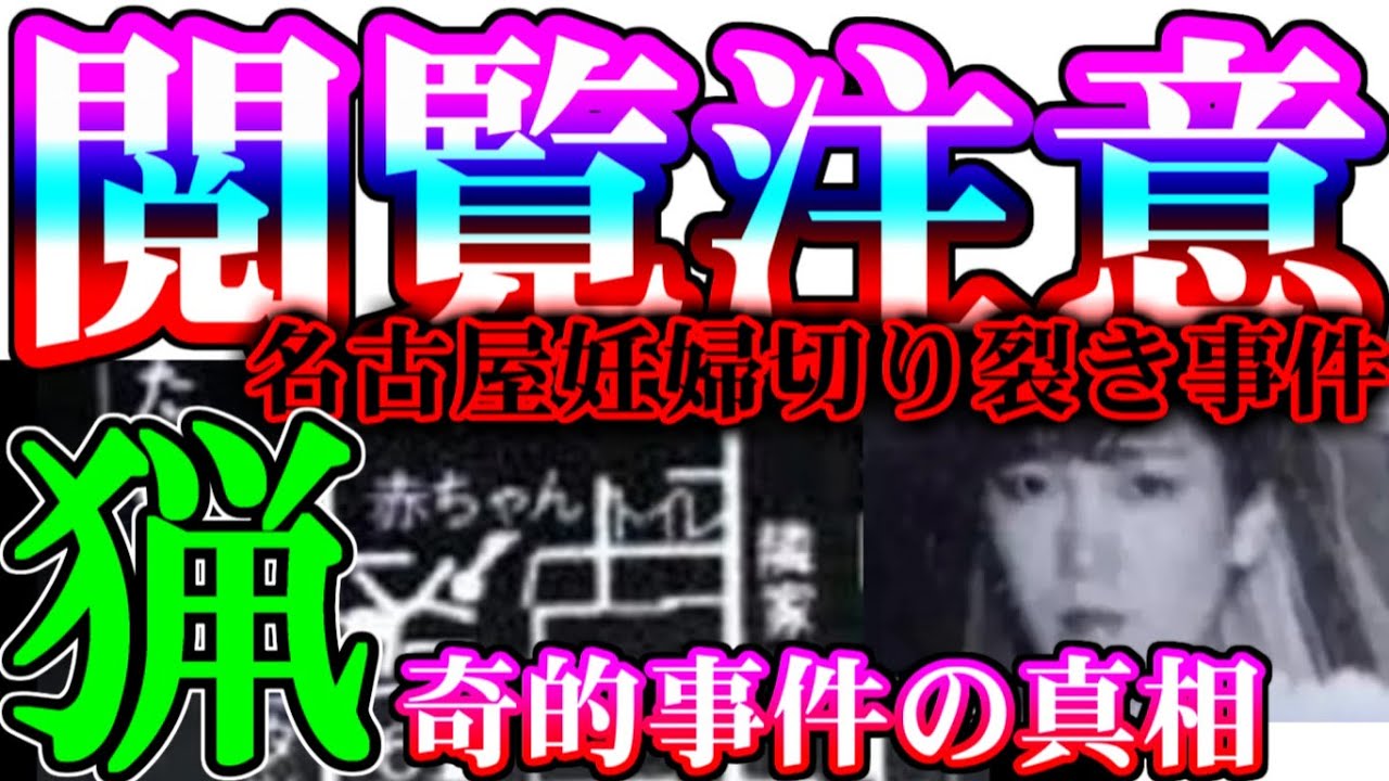 【未解決事件】名古屋妊婦切り裂き事件【1/2概要詳細】