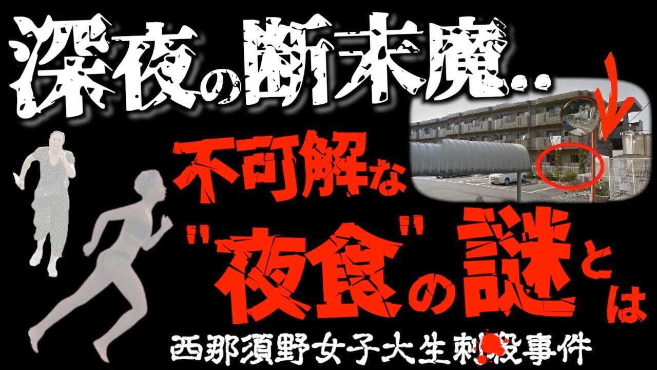 未解決事件】何もかもが不可解すぎた..犯人の正体と捜査の謎とは＜西那須野女子大生事件＞