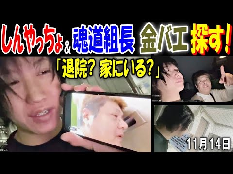 【しんやっちょ】&【魂道組長】【金バエ】を探す!「退院? 家にいる?」11月14日